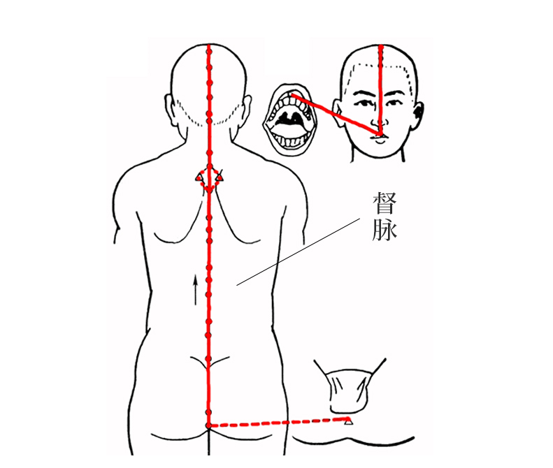 Protect Your Body's Two Meridians: Balance Yin and Yang for Unobstructed Qi and Blood Flow!