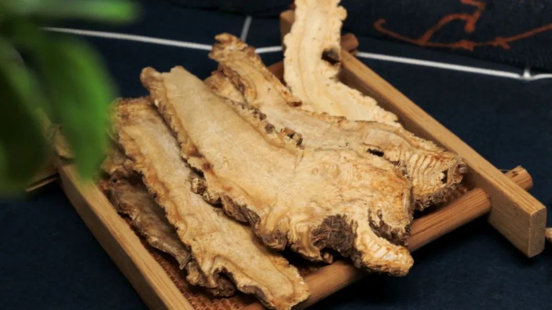 Practical Techniques: Angelica Sinensis (Dang Gui) - 7 Clinical Questions