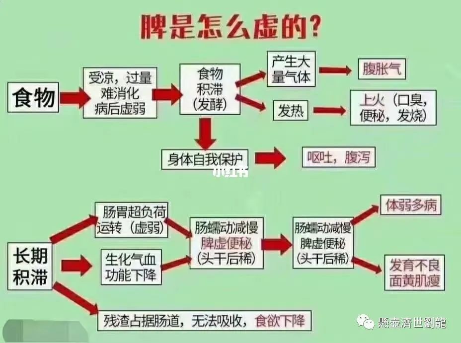 Understanding Spleen and Stomach Yang Deficiency in Traditional Chinese Medicine