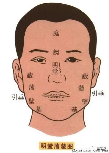 Introduction to Traditional Chinese Medicine: Chapters One and Two of TCM Diagnosis (Introduction and Observation Diagnosis)