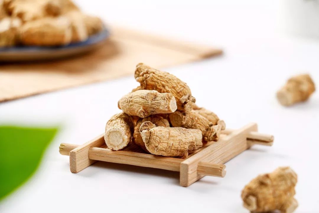 American Ginseng and Sanqi: Balancing Yin and Yang, Promoting Circulation, and Protecting the Heart!
