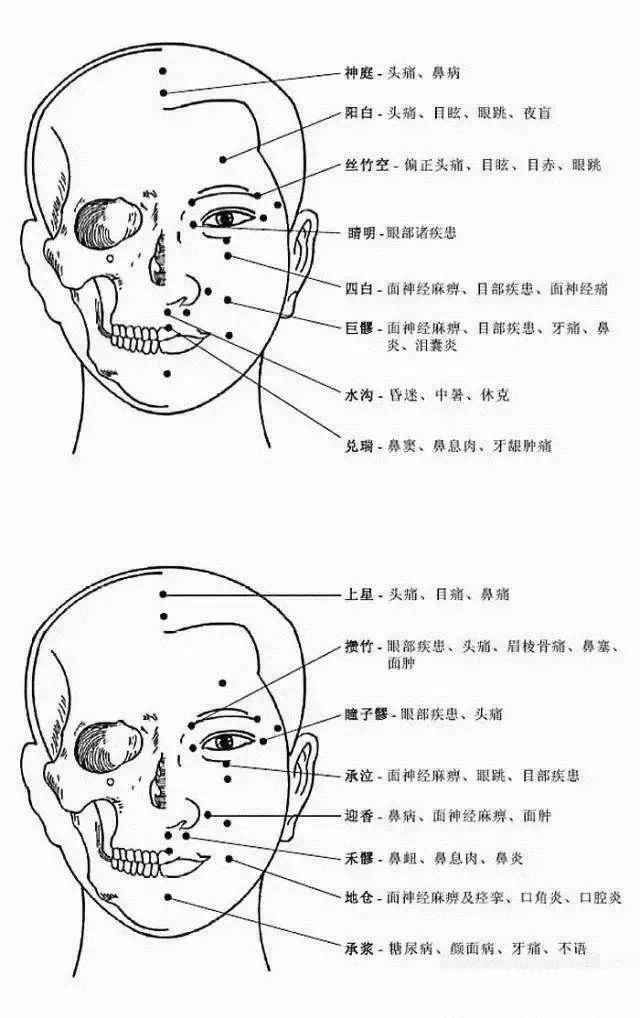 Comprehensive Human Acupuncture Points Chart and Their Functions (A Must-Bookmark)