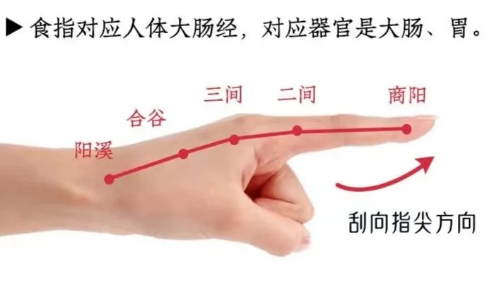 Popular Science | Gua Sha for the Hands: Unblocking Meridians