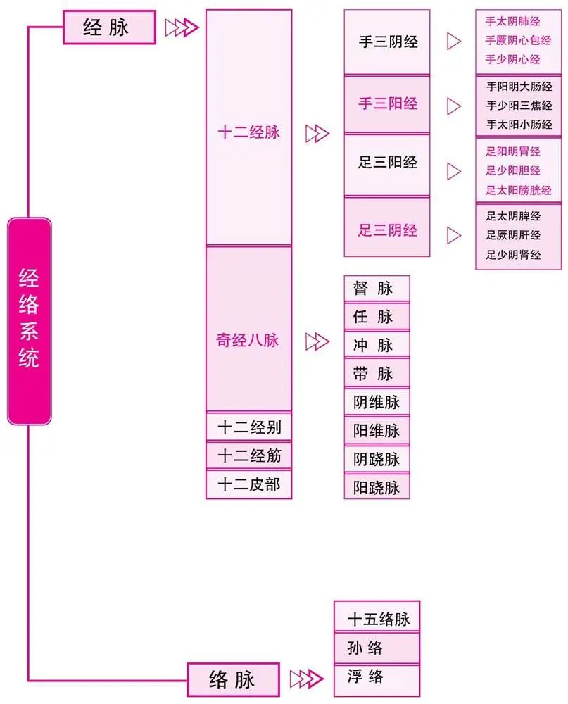 Diagram of the Twelve Meridians (Latest)