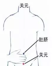 47 Unique Acupuncture Points Worth Seeing! (Collector's Edition)