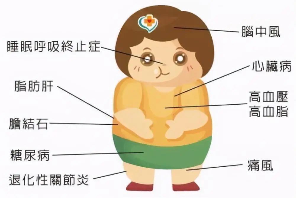 Obesity and Phlegm-Dampness: Symptoms to Watch Out For!