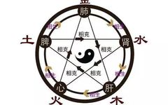The Five Elements in Traditional Chinese Medicine: Interactions and Health Implications