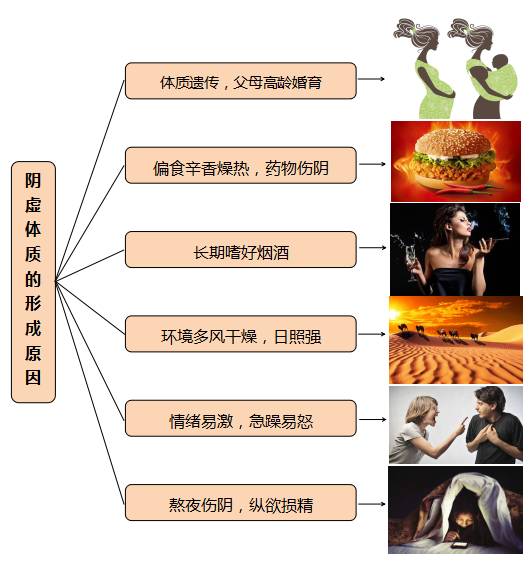 How to Nourish Yin for Those with Yin Deficiency Constitution: TCM Health Tips for Winter
