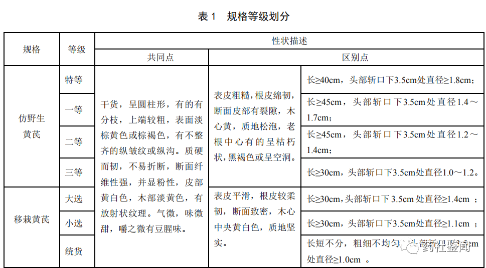 Traditional Chinese Medicine - Huangqi (Astragalus Root)