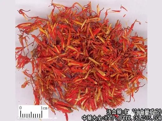The Efficacy and Functions of Honghua (Safflower)