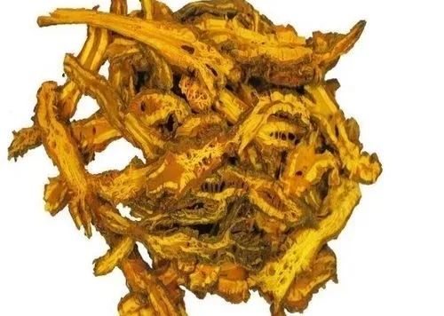 Huang Lian: Bitter and Effective for Clearing Heat and Treating Dysentery