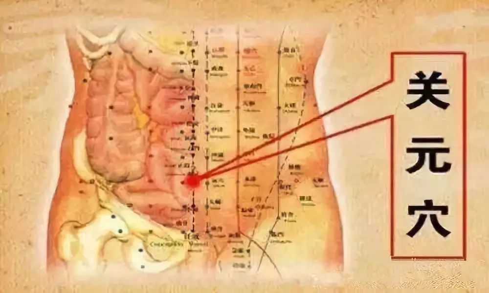 Essential Knowledge of Traditional Chinese Medicine You Must Understand