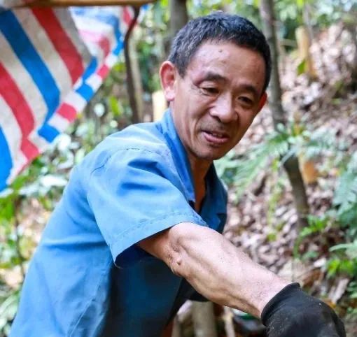 Harvesting Cinnamon: A Journey into the Heart of Traditional Cinnamon Farming