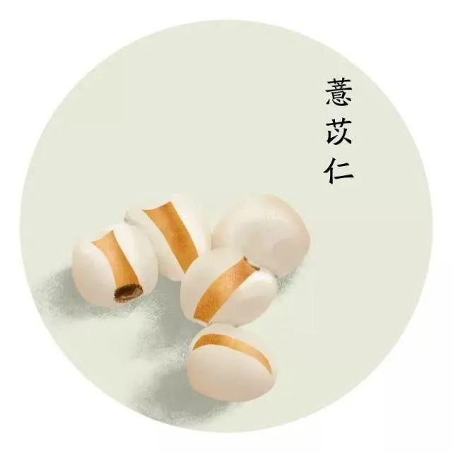 Clinical Applications of Coix Seed (Yi Yi Ren) in Traditional Chinese Medicine