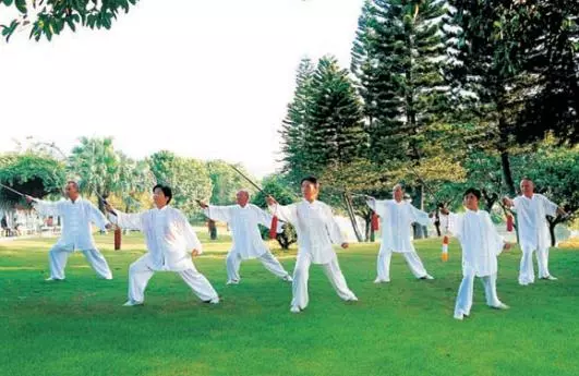 Practical Tai Chi Training Tips from Experienced Practitioners