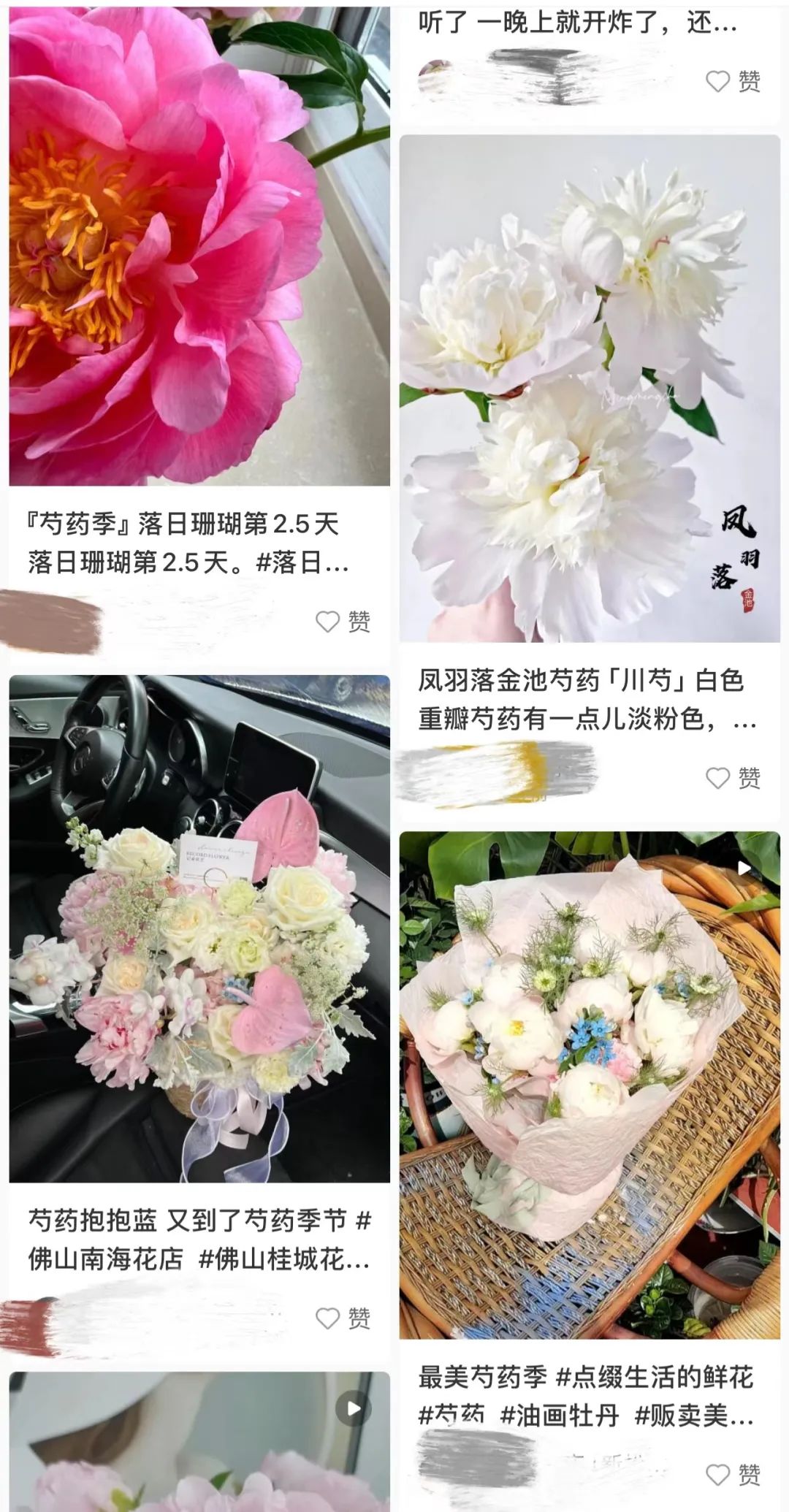 The Arrival of Peony Season: A Beautiful and Valuable Traditional Chinese Medicine