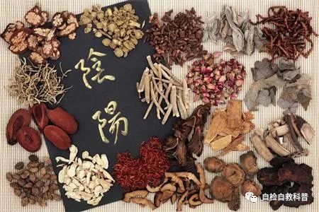 Common Symptoms of Qi Deficiency: Understanding Qi Deficiency Constitution