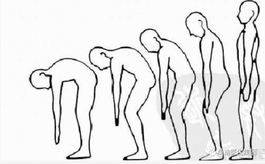 Diagnosis and Inquiry of Low Back Pain