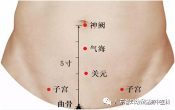 Warming Yang and Nourishing Kidney with Moxa Culture