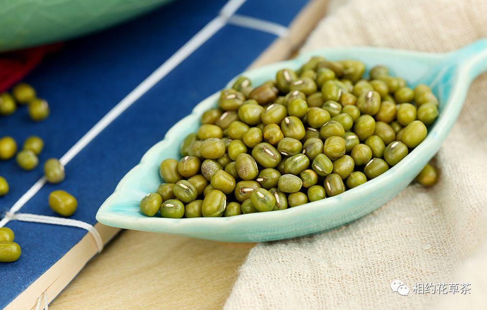 Health Benefits of Various Beans in Traditional Chinese Medicine (Part 2)