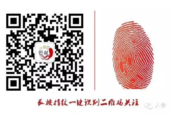 Ginseng: The Most Comprehensive and Fastest Qi Tonic