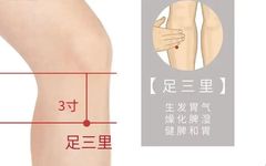 Understanding Qi Deficiency: Boost Your Vital Energy by Stimulating These 5 Acupuncture Points!