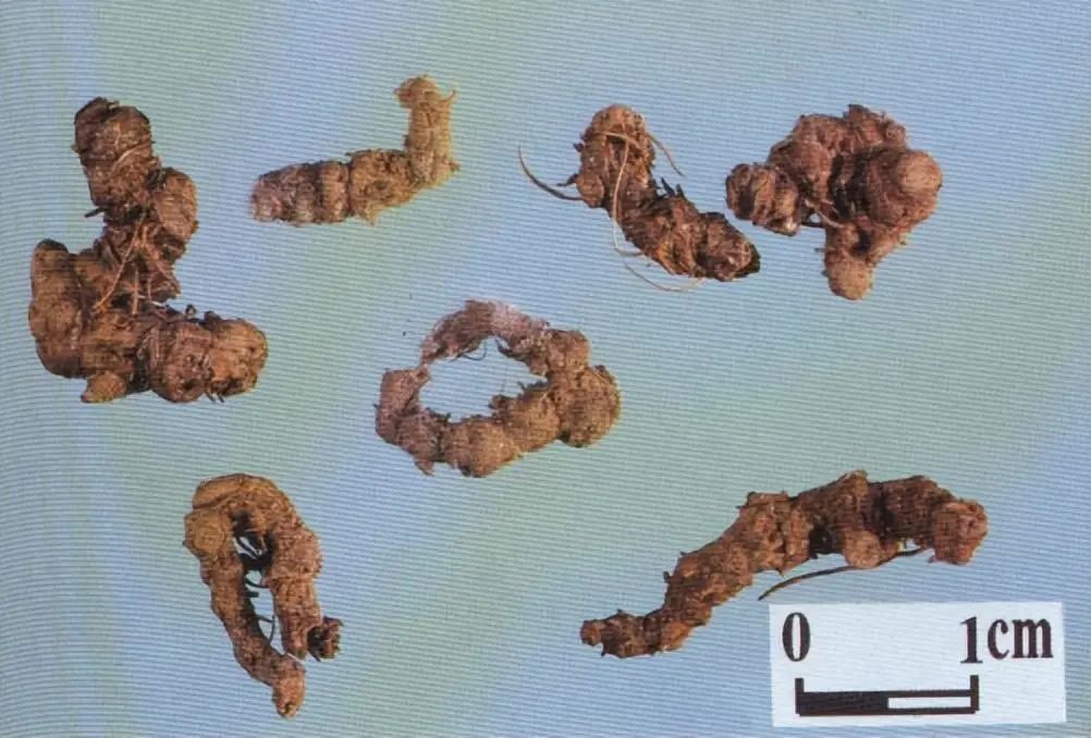 Identification of the Chinese Herbal Medicine Huanglian