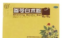 Top 11 Traditional Chinese Medicines for Eliminating Dampness: Practical and Effective Remedies