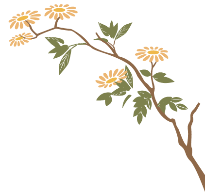 Monthly Herb Spotlight: Cinnamon