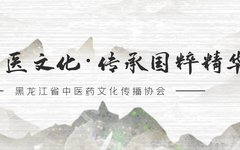 Daily Herb Study: Jin Yin Hua (Honeysuckle Flower)