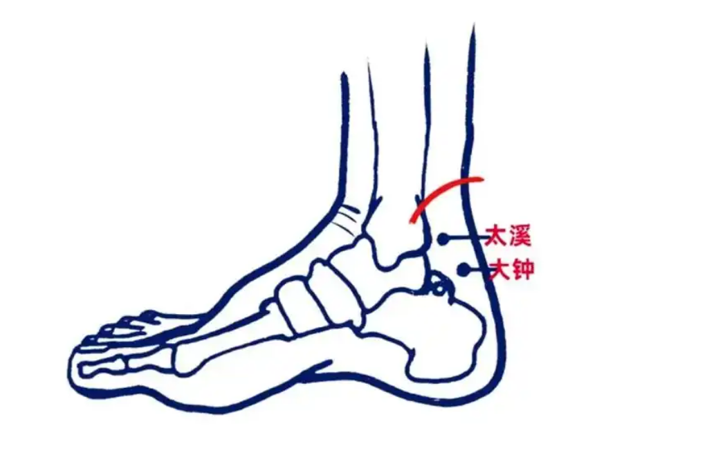 How to Ensure the Balance of Yin and Yang in the Body? Eight Tips from Traditional Chinese Medicine!