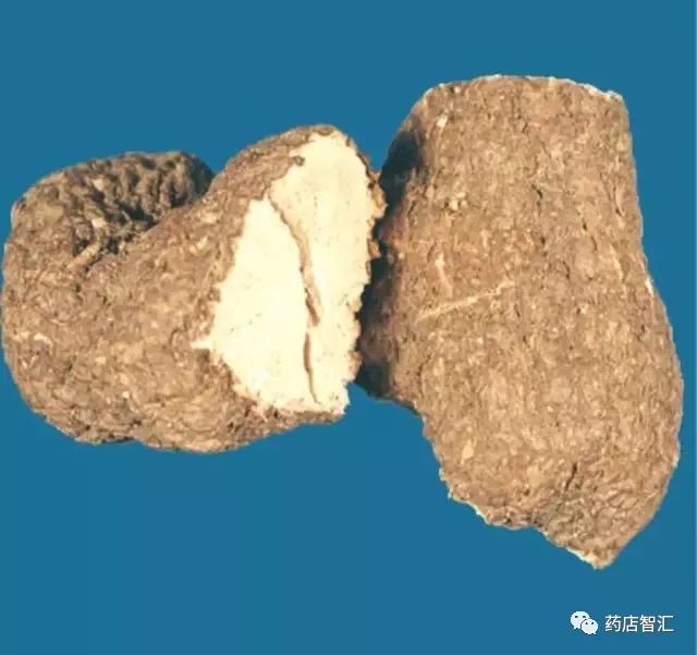 Fuling (Poria) - A Comprehensive Overview