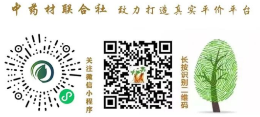 Traditional Chinese Medicine: The Dual Role of Medicinal and Culinary Herbs