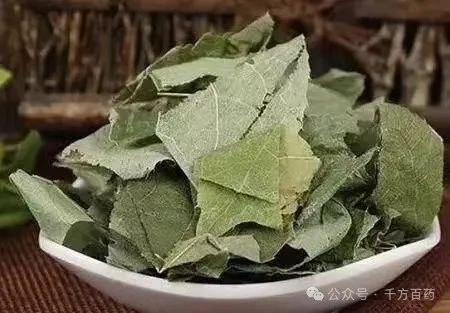 A Potent Remedy for Kidney Yang Deficiency, Rheumatism, and Hypertension