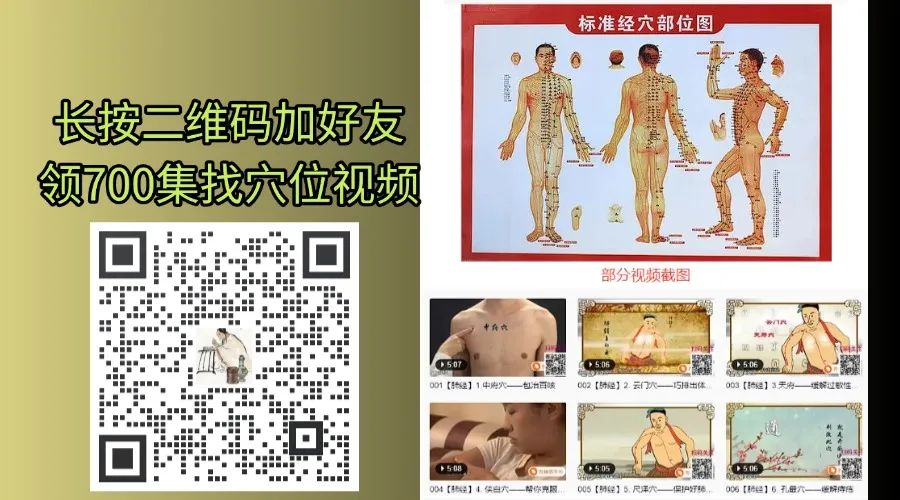 A Formula to Tonify Yang Qi: Three Medicinal Herbs to Revitalize Your Vital Energy!