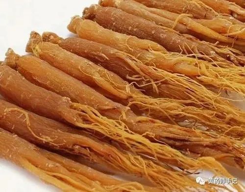 Is Real Ginseng Really So Magical? Its Uses in Emergency, Spleen Deficiency, Insomnia, Diabetes, Premature Aging, and Memory Improvement