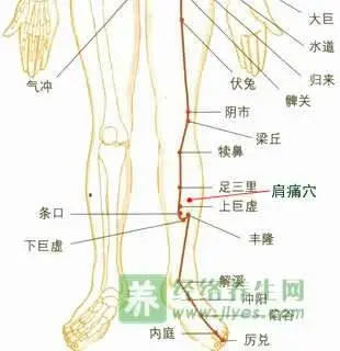 47 Unique Acupuncture Points Worth Seeing! (Collector's Edition)