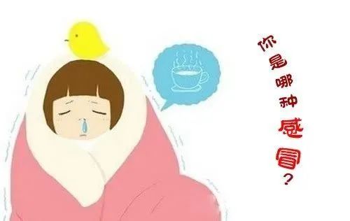 Traditional Chinese Medicine Overview: "Wind-Heat Cold"