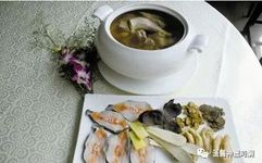 An Overview of Medicinal Cuisine