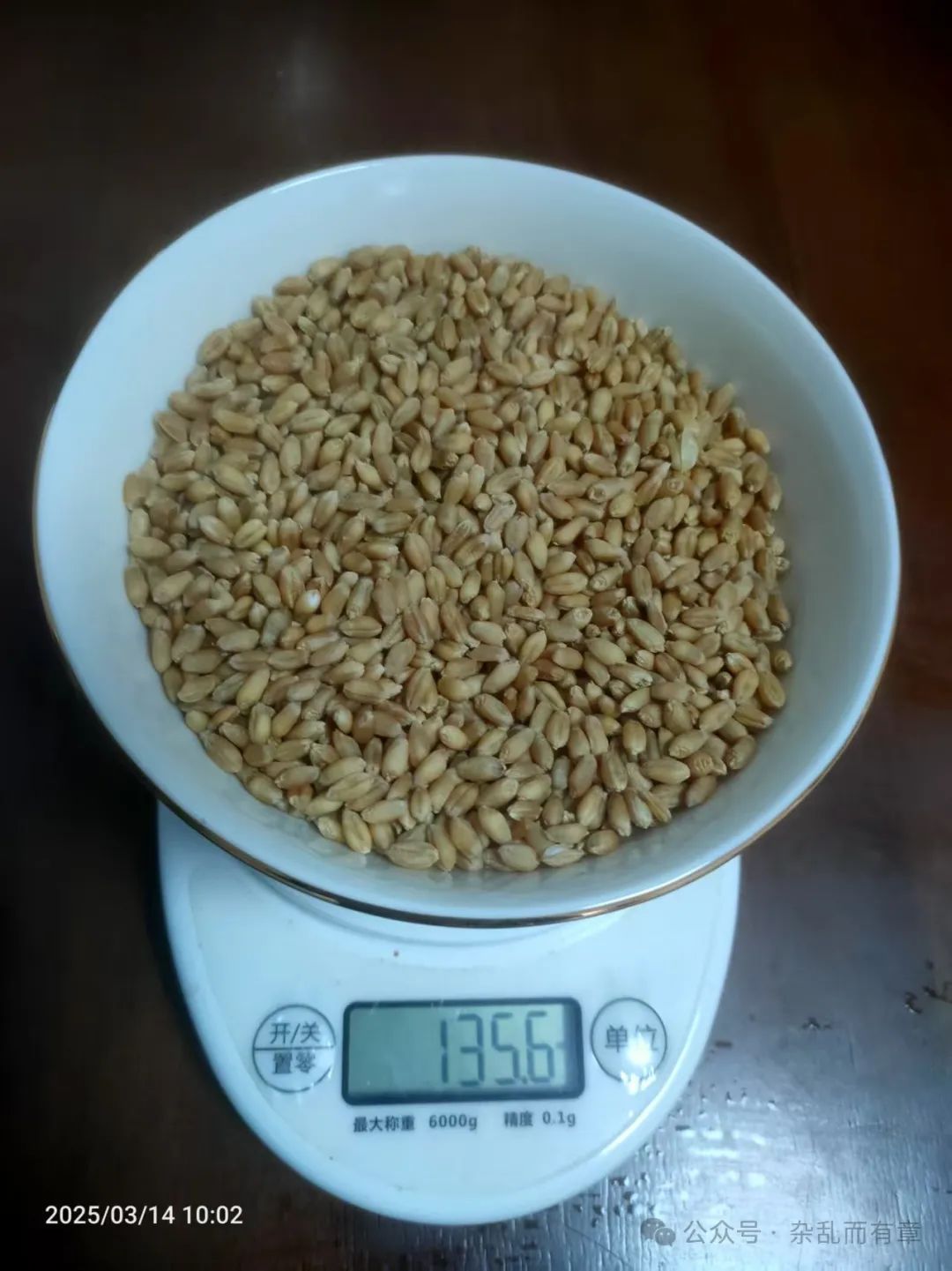 The Weight of One Sheng of Wheat in Jin Gui Yao Lue - Gan Mai Da Zao Decoction