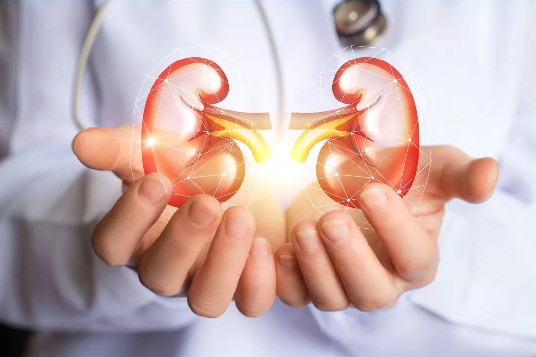 What Are the Symptoms of Kidney Yang Deficiency? Here Are 5 Key Points!