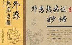 Clinical Cases of External Heat Illness Treated by Zhou Zhongying