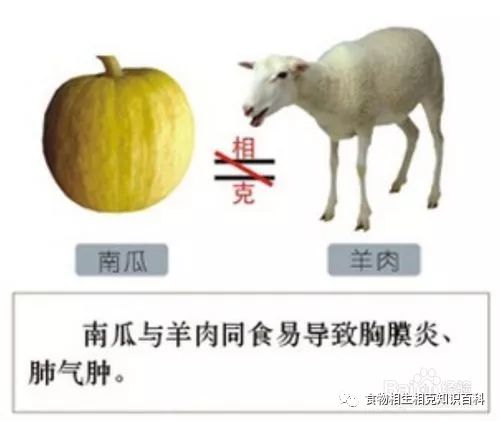 A Comprehensive Guide to Complementary and Contradictory Foods in TCM
