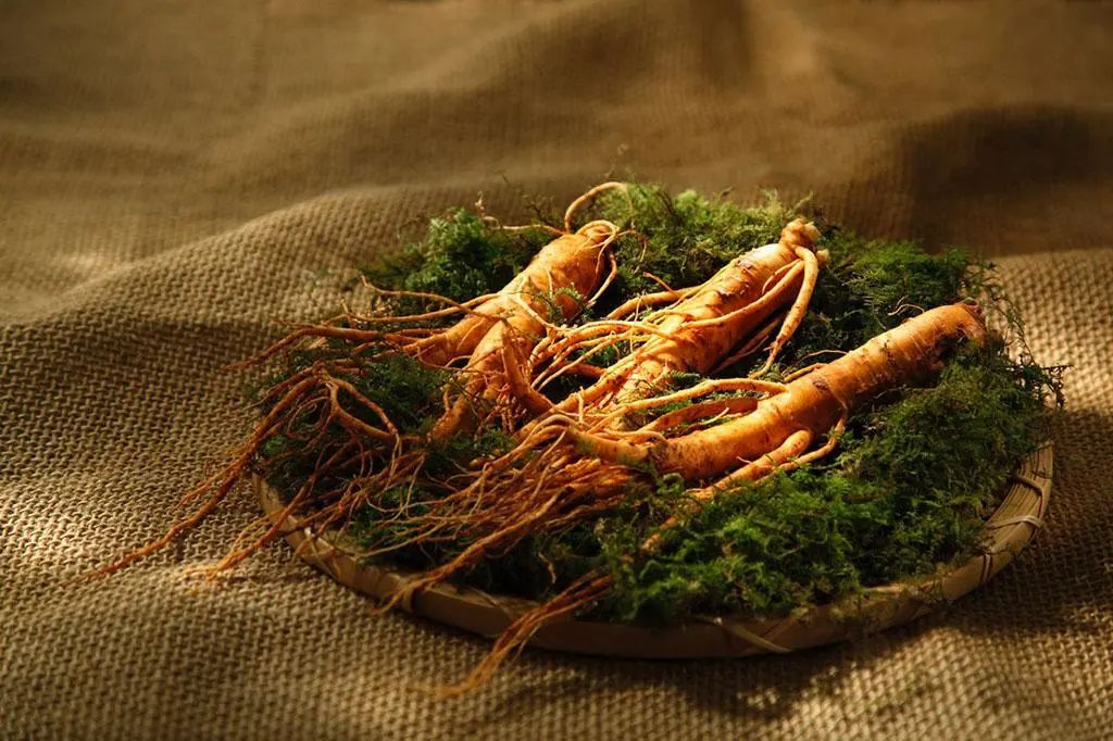 The Efficacy and Functions of Ginseng in Traditional Chinese Medicine
