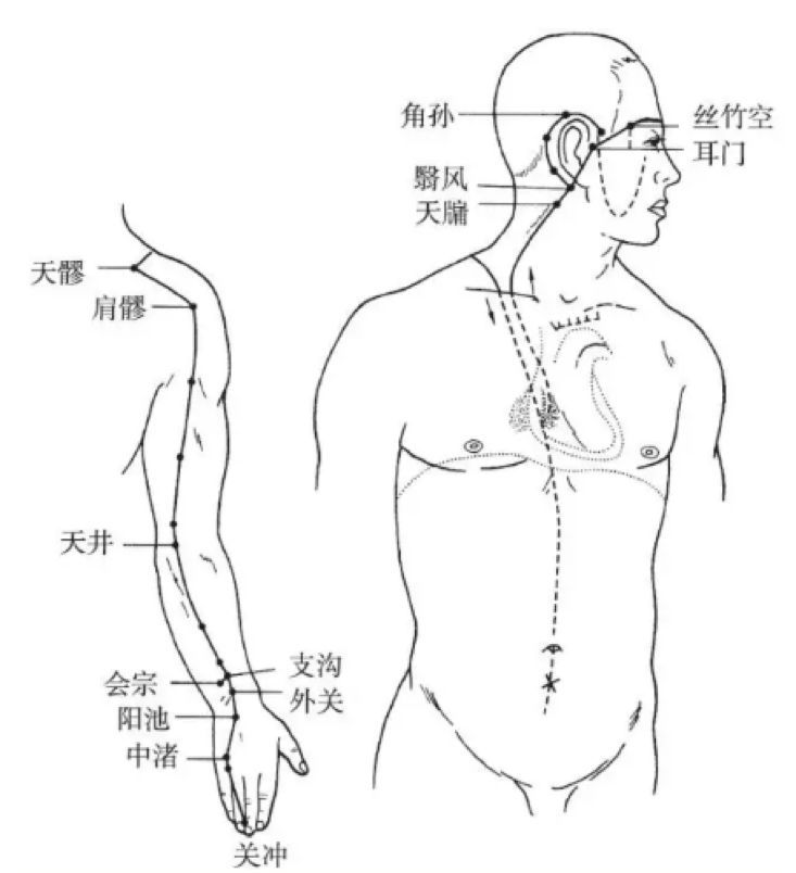 The Pathways and Interconnections of the Twelve Meridians
