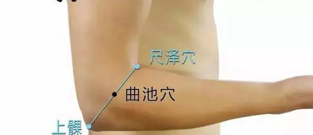 57 Practical Acupuncture Points Everyone Can Use