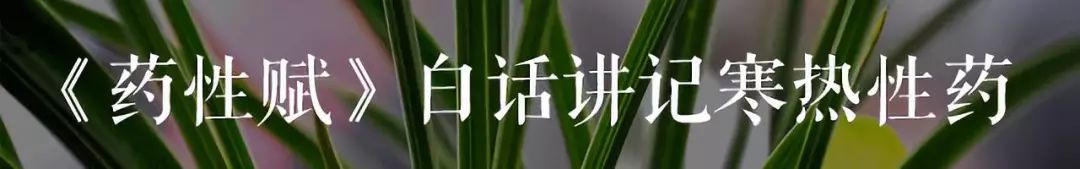 Shizhen Sheng: Zhang Zhongjing's Six Methods for Treating "Damp-Heat" (Part 1 and 2)