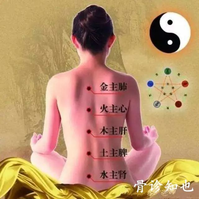 The Essence of Gua Sha: A Must-Read!