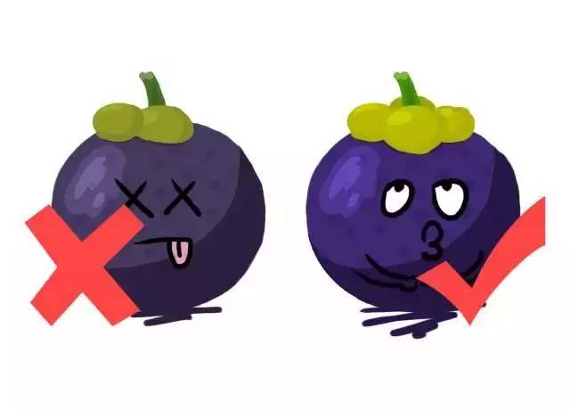 Understanding Fruits in TCM: Choosing the Right Ones for Your Constitution