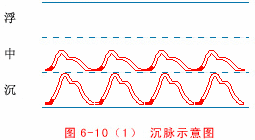 Illustrated Guide to 28 Dynamic Pulse Diagnoses in Traditional Chinese Medicine